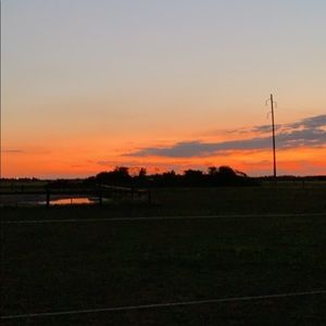 Meet your Posher, Shay